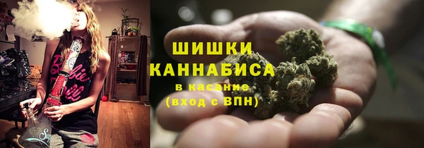 Альфа ПВП Богородск