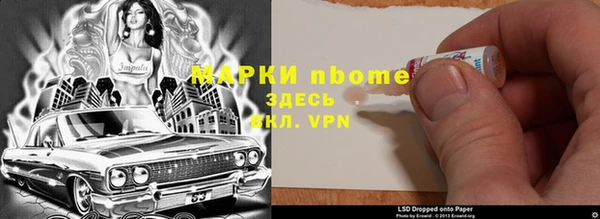 ECSTASY Богданович