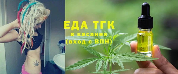 ECSTASY Богданович