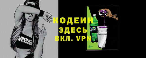 ECSTASY Богданович