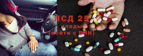 ECSTASY Богданович