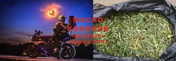 ECSTASY Богданович