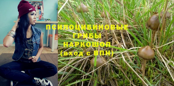 Альфа ПВП Богородск