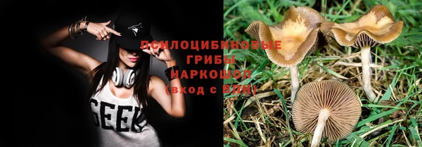 Альфа ПВП Богородск